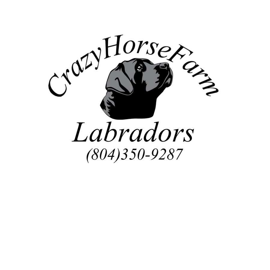 CrazyHorseFarm Labradors