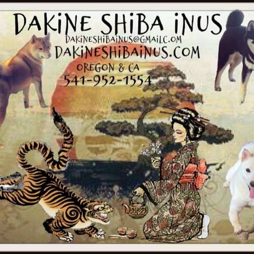 Dakine Shiba Inu's California and Oregon