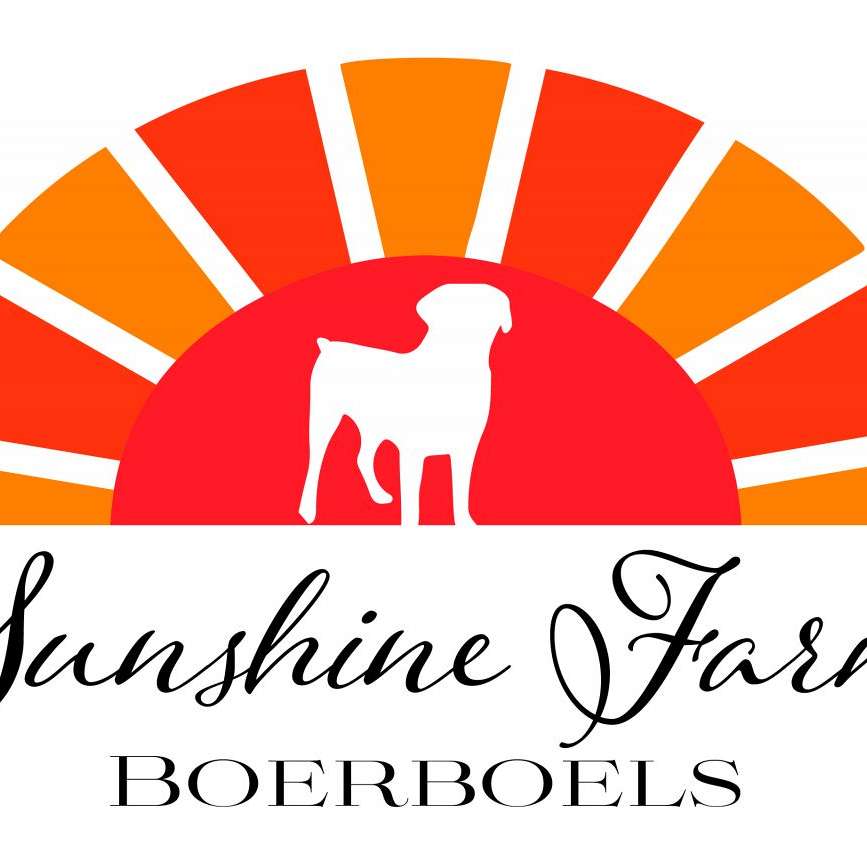 Sunshine Farm Boerboels