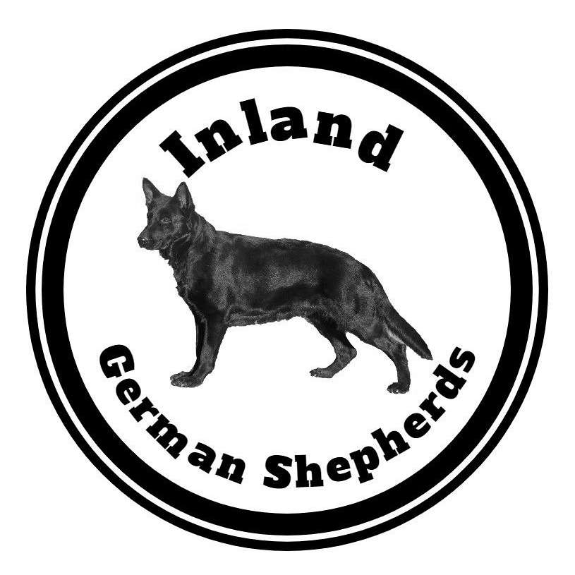 Inland German Shepherds