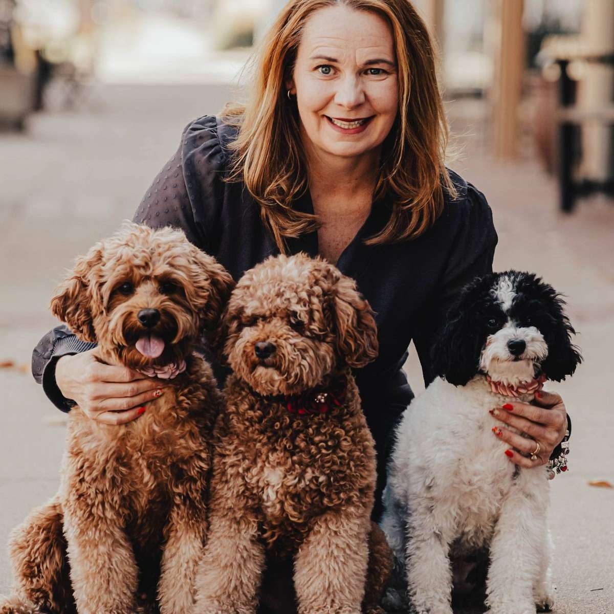 Choice Paws Cavapoo Puppies