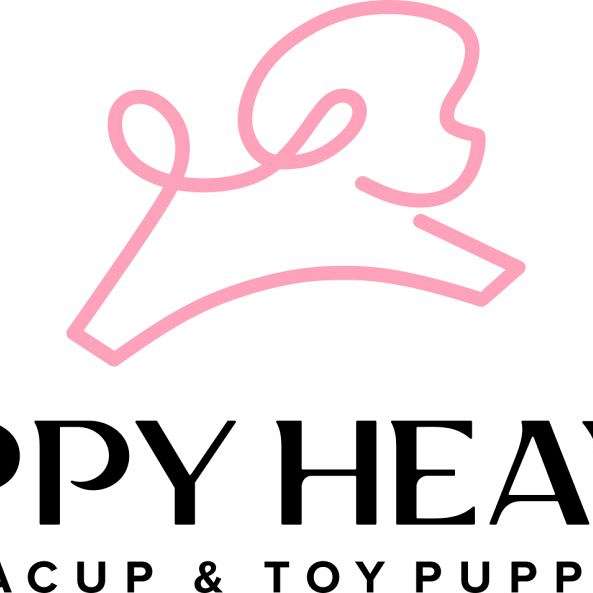 Puppy Heaven - Las Vegas