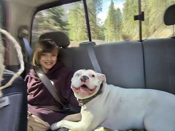 pittie-mom-pit-bull-terrier